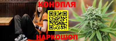 Альфа ПВП Будённовск