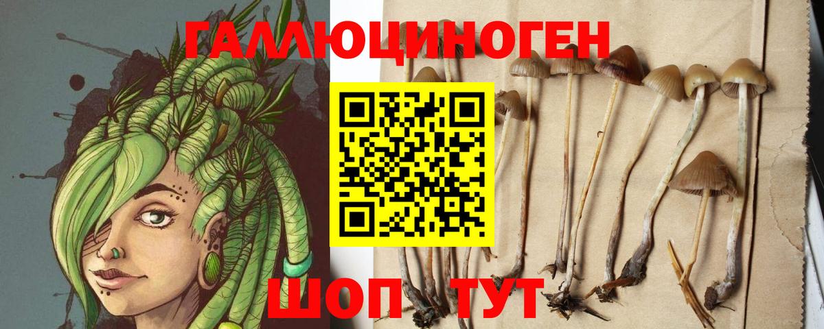 Псилоцибиновые грибы мухоморы Соликамск